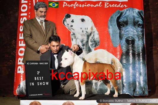 Clique sobre a foto para fechar